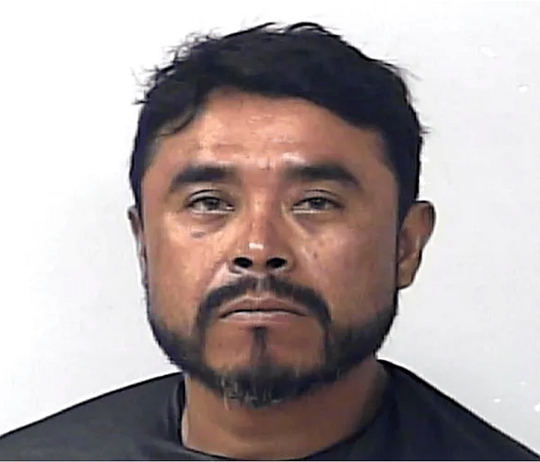 Florida Man Hangs Two Dogs From a Tree and Claims It Was an Accident — Public Demands Justice